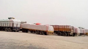 11013632_845616052154414_2605450988626268686_n